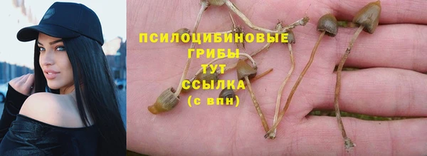бошки Алексеевка