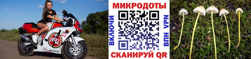 где продают наркотики Пошехонье Галлюциногенные грибы мицелий